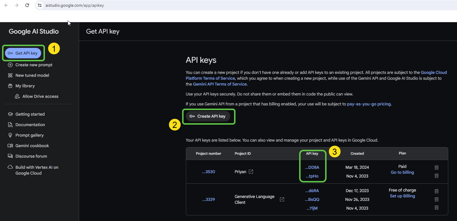 Get the Gemini API Key